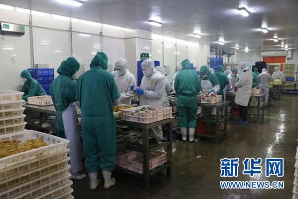 �й�������yl23455(����)���޹�˾-�ٷ���վ