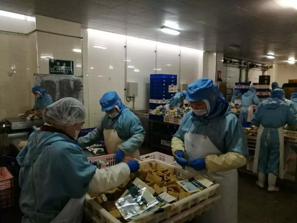 �й�������yl23455(����)���޹�˾-�ٷ���վ