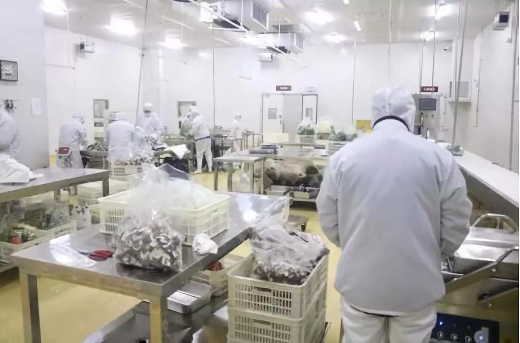 5dad537a4a62f 5dad537a4a62f