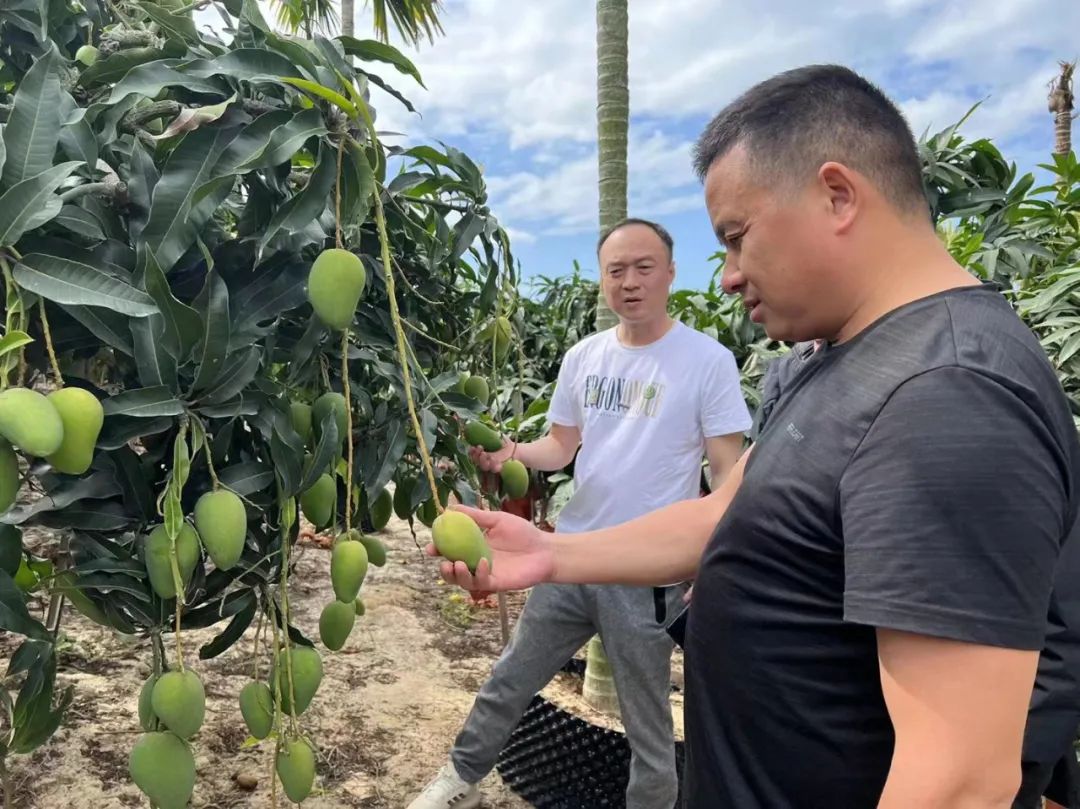 �й�������yl23455(����)���޹�˾-�ٷ���վ