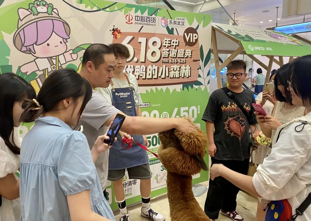 dccf0c31f5111df57818736706635ec5