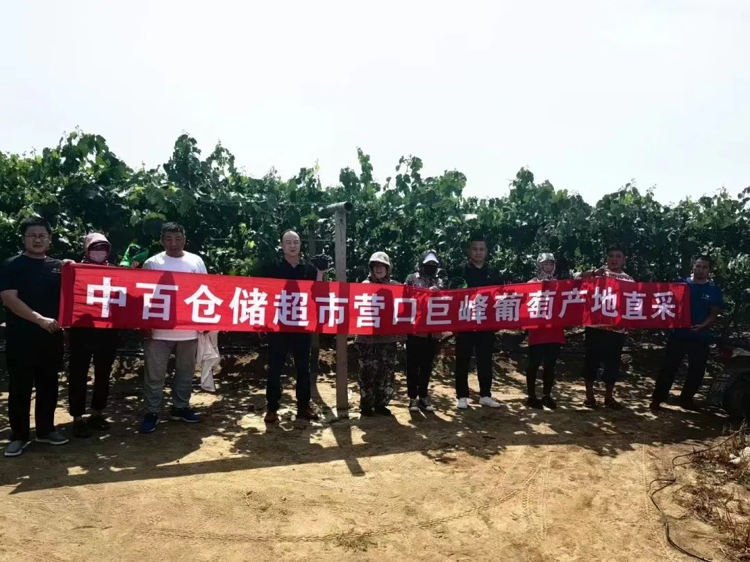 b62b0caf8318f95d8c8f85f097409467