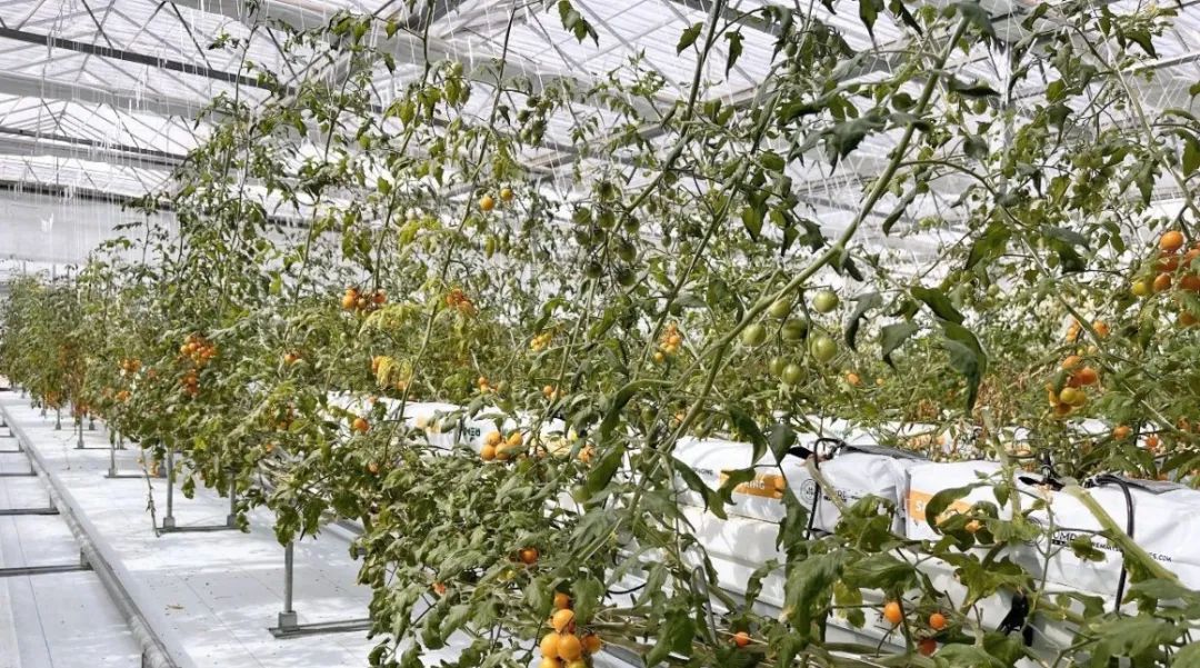 �й�������yl23455(����)���޹�˾-�ٷ���վ