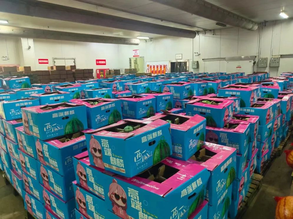 �й�������yl23455(����)���޹�˾-�ٷ���վ