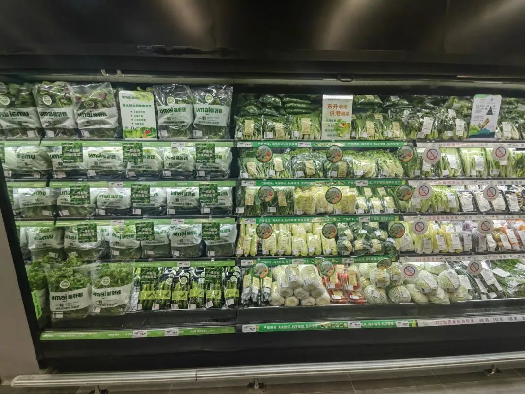 �й�������yl23455(����)���޹�˾-�ٷ���վ