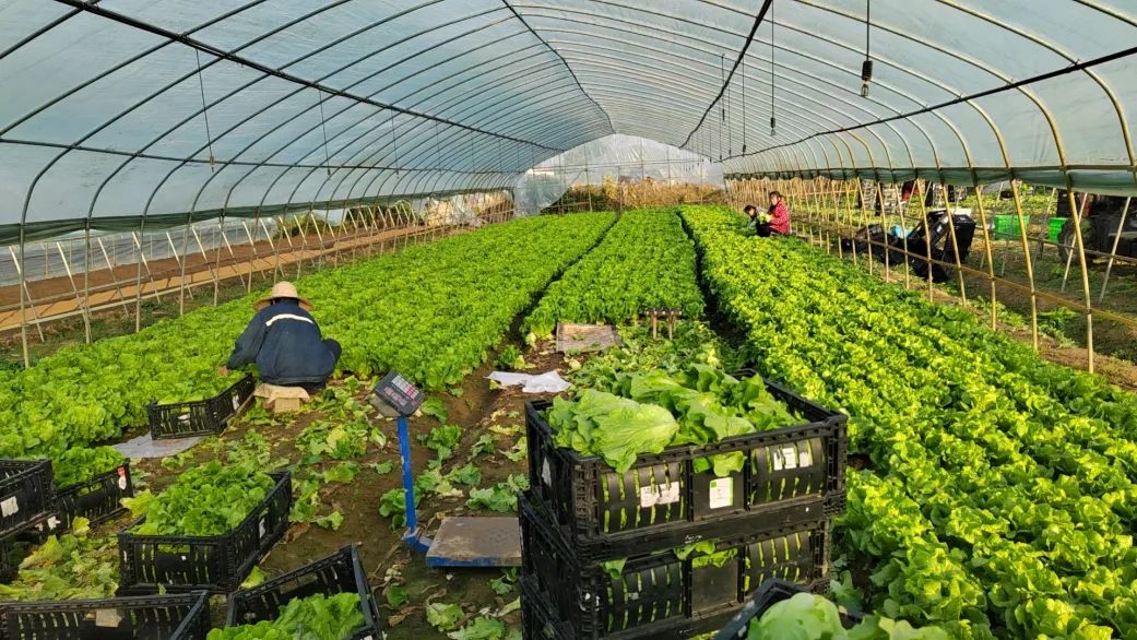 �й�������yl23455(����)���޹�˾-�ٷ���վ