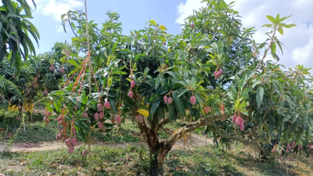 �й�������yl23455(����)���޹�˾-�ٷ���վ