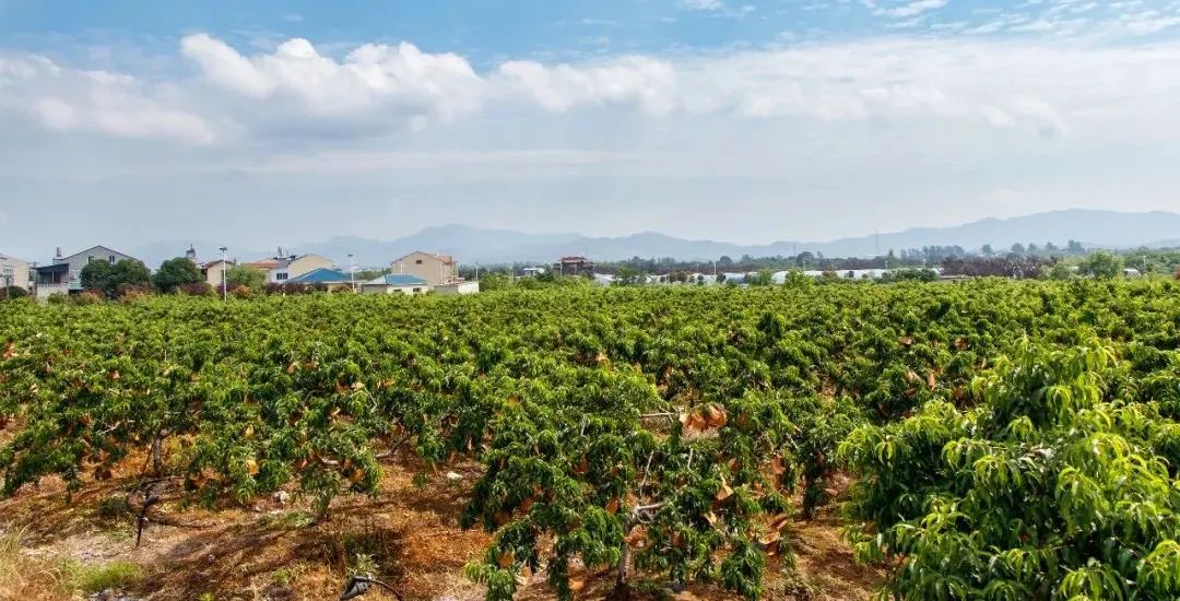 �й�������yl23455(����)���޹�˾-�ٷ���վ