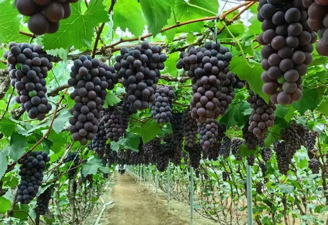 �й�������yl23455(����)���޹�˾-�ٷ���վ