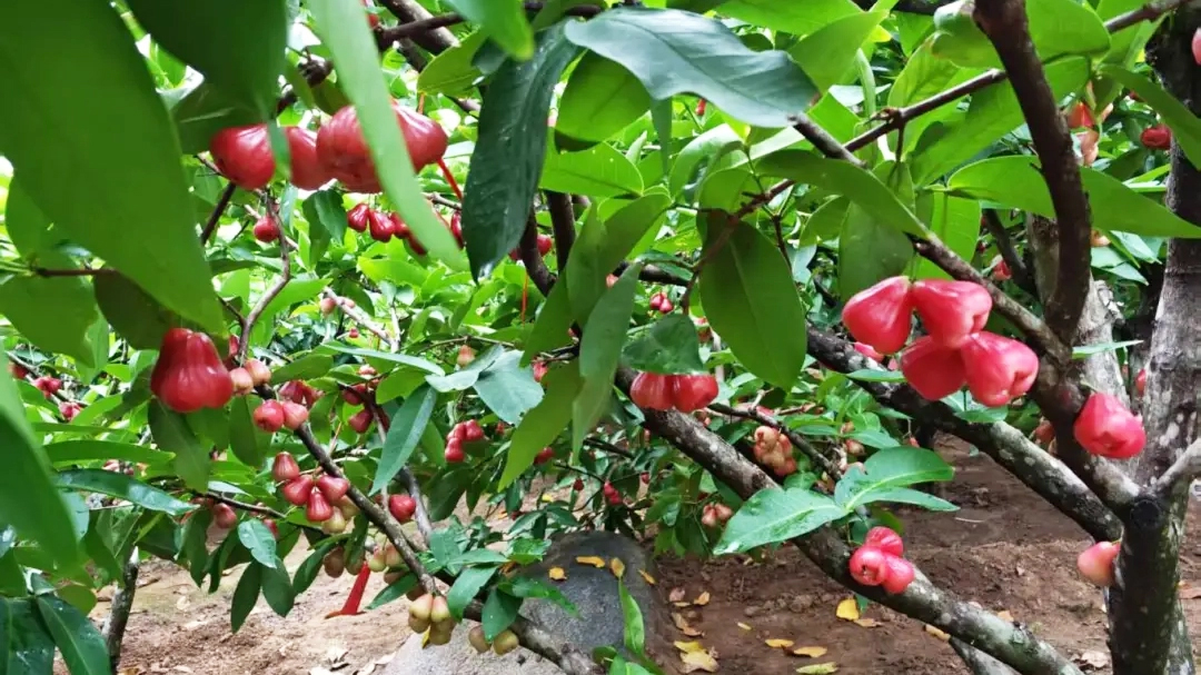 �й�������yl23455(����)���޹�˾-�ٷ���վ