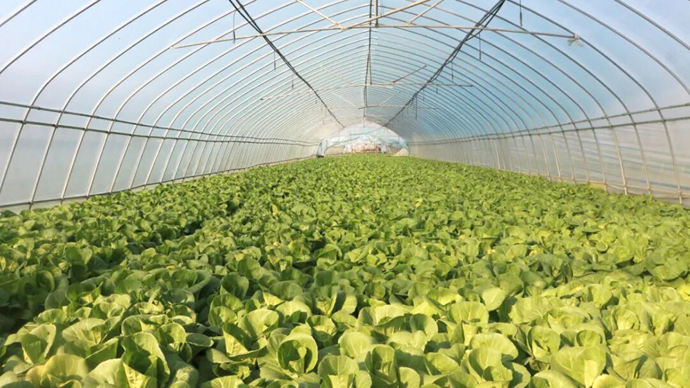 �й�������yl23455(����)���޹�˾-�ٷ���վ