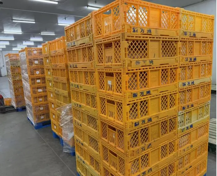 �й�������yl23455(����)���޹�˾-�ٷ���վ